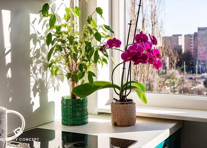 Apartamento Blissful Retreat