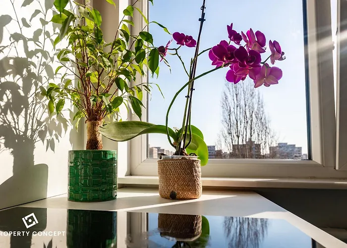 Blissful Retreat Apartament