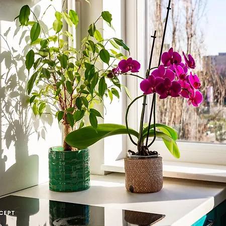 Appartement Blissful Retreat