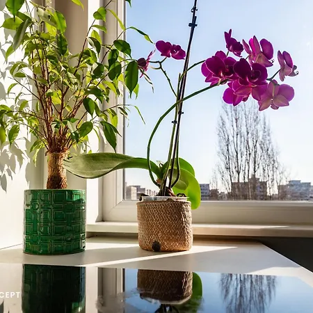 Blissful Retreat Appartamento