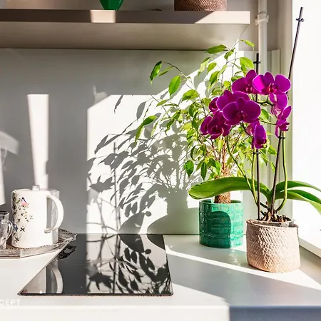 Appartement Blissful Retreat Bucarest